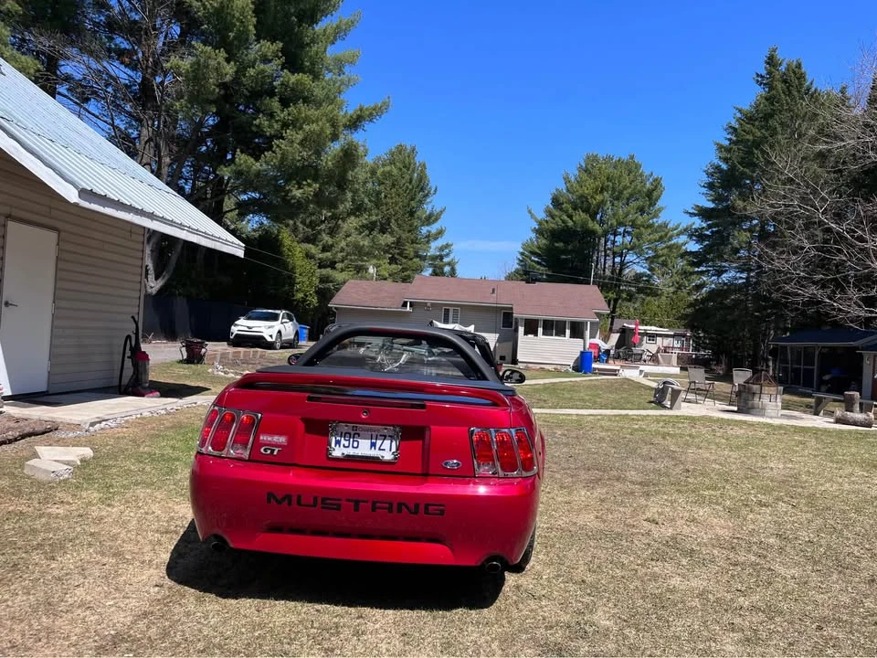 1999 Ford SN95 Mustang - Image 9 of 14