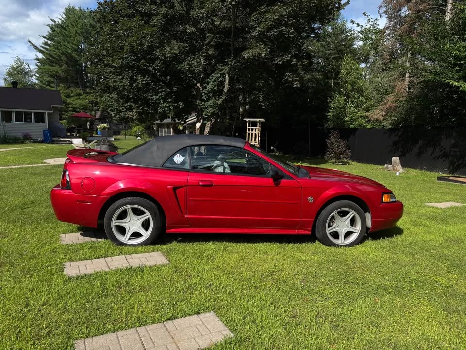 1999 Ford SN95 Mustang - Image 6 of 14