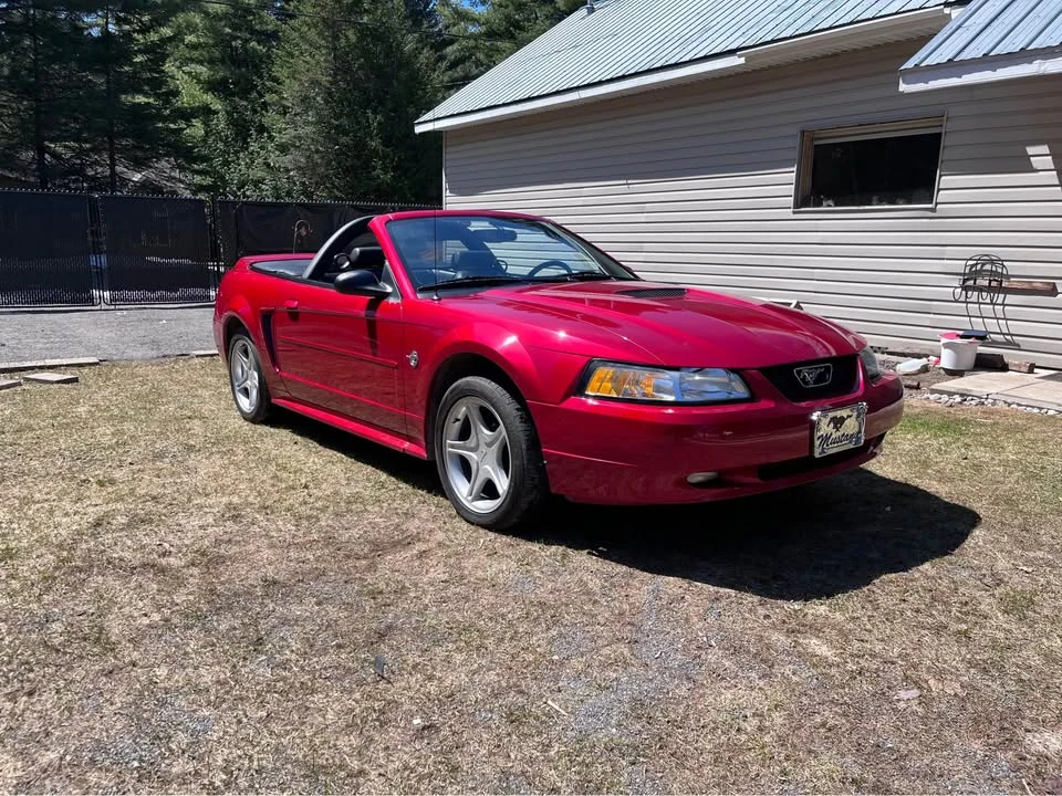 1999 Ford SN95 Mustang - Image 13 of 14