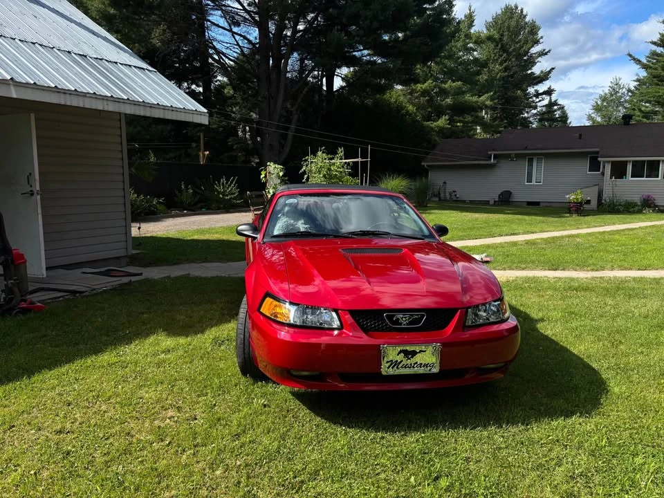 1999 Ford SN95 Mustang - Image 7 of 14