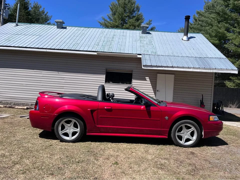 1999 Ford SN95 Mustang - Image 11 of 14