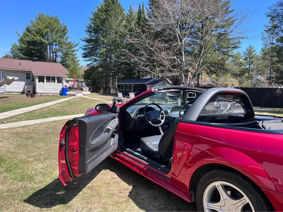 1999 Ford SN95 Mustang - Image 10 of 14