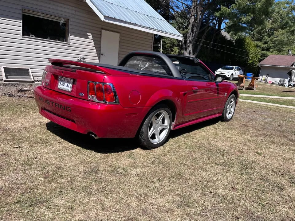 1999 Ford SN95 Mustang - Image 14 of 14