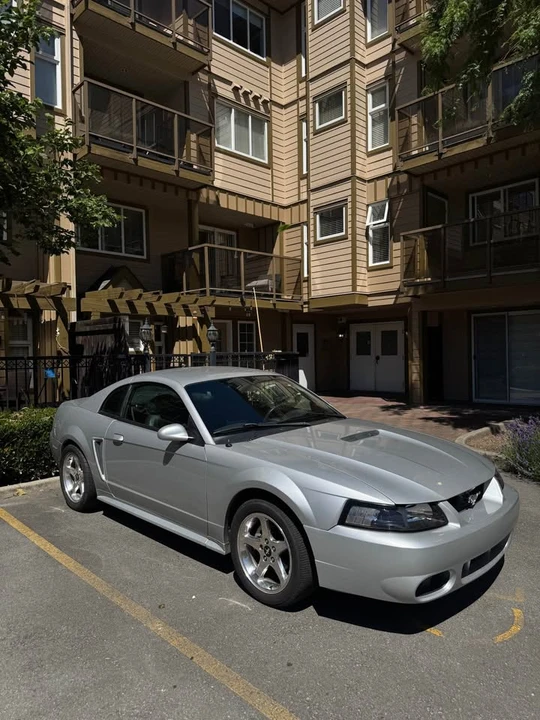 1999 Ford SN95 Mustang - Image 5 of 12