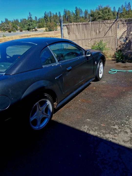 1999 Ford SN95 Mustang - Image 3 of 10