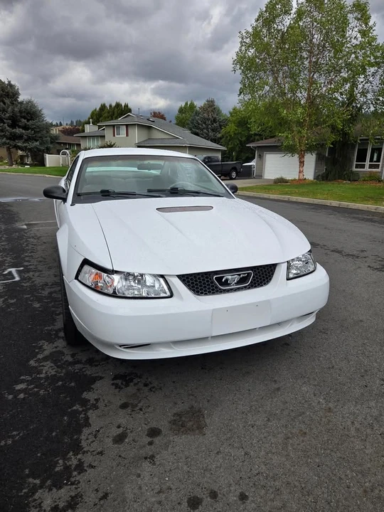 1999 Ford SN95 Mustang - Image 4 of 4