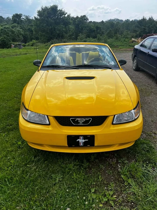 1999 Ford SN95 Mustang - Image 4 of 7
