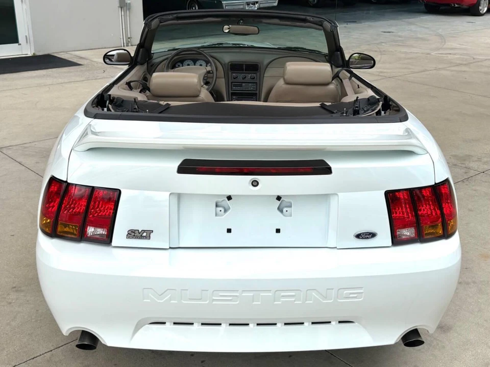1999 Ford SN95 Mustang Cobra - Image 8 of 31