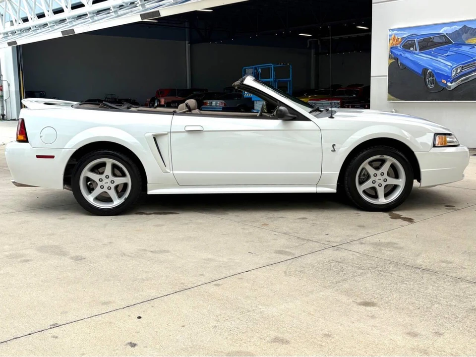 1999 Ford SN95 Mustang Cobra - Image 5 of 31