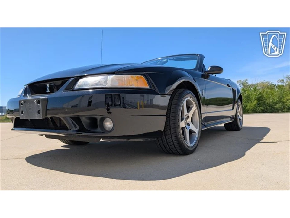 1999 Ford SN95 Mustang Cobra - Image 4 of 31