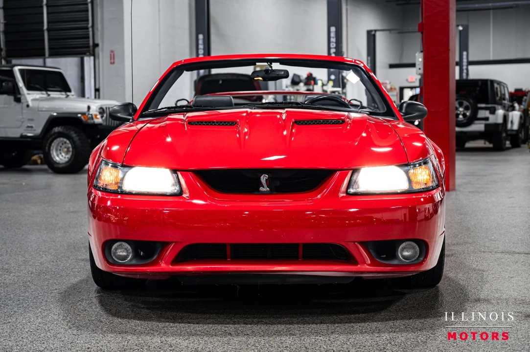 1999 Ford SN95 Mustang Cobra - Image 8 of 21