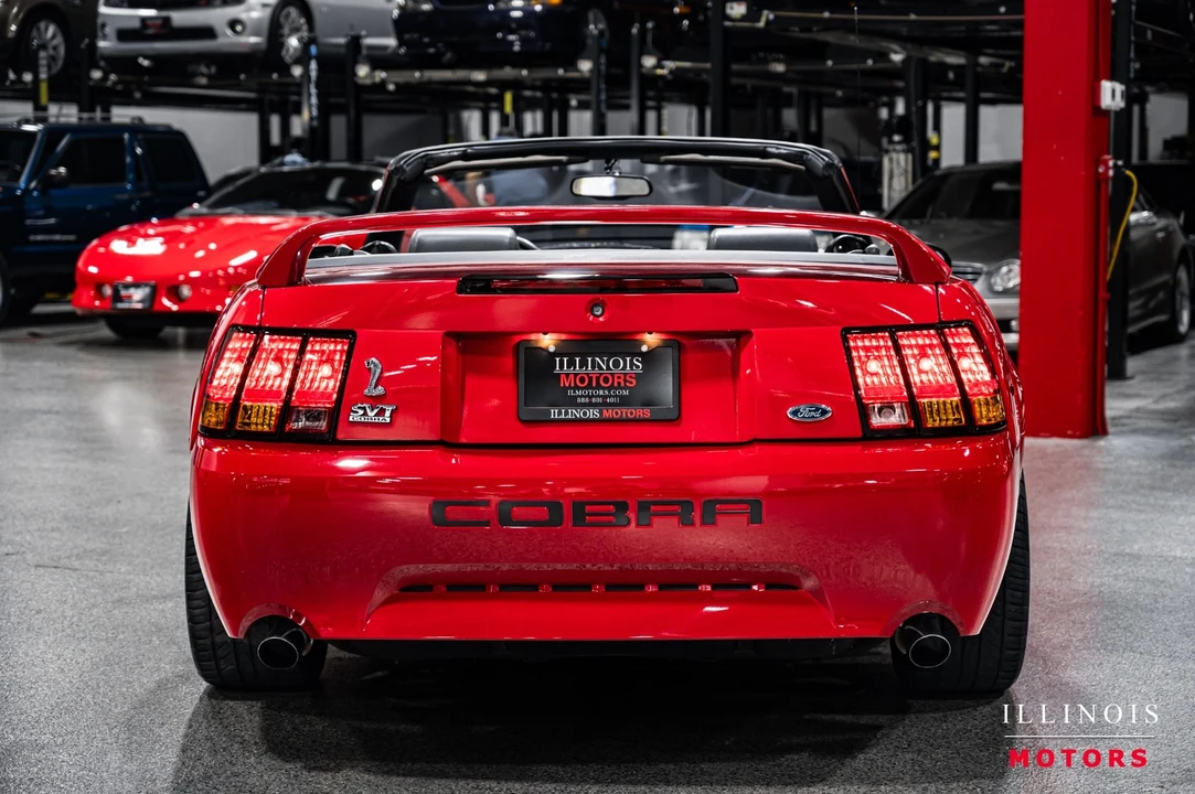 1999 Ford SN95 Mustang Cobra - Image 4 of 21