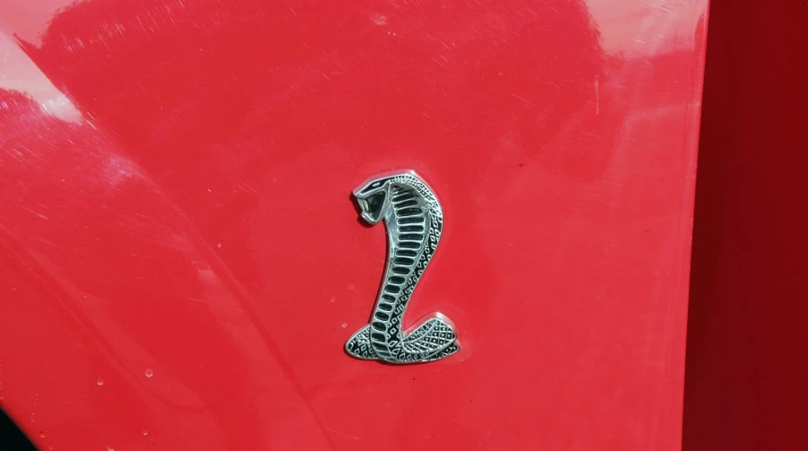 1999 Ford SN95 Mustang Cobra - Image 11 of 12