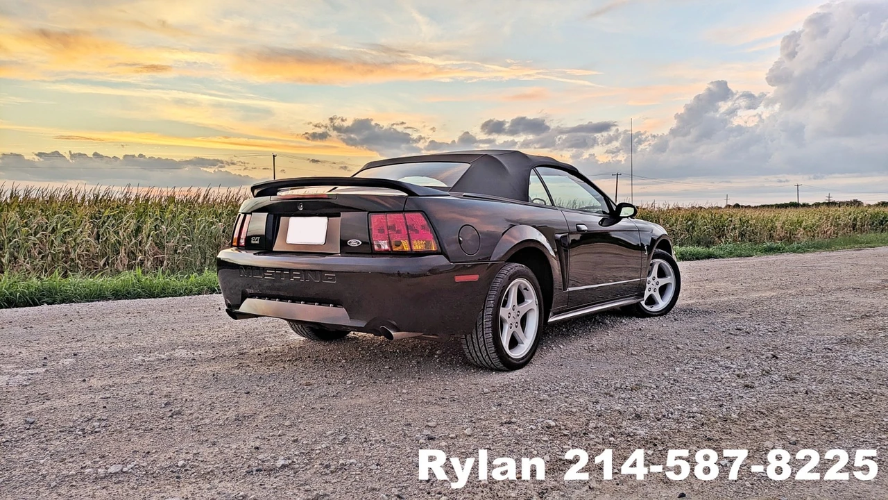 1999 Ford SN95 Mustang Cobra - Image 19 of 21
