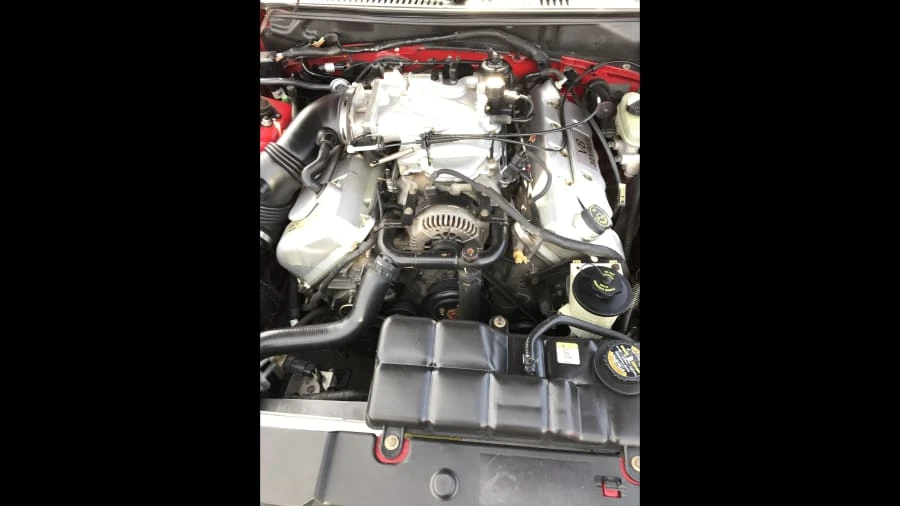 1999 Ford SN95 Mustang Cobra - Image 8 of 12