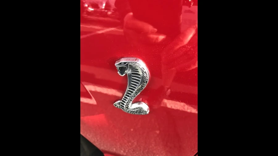 1999 Ford SN95 Mustang Cobra - Image 11 of 12