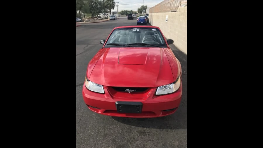 1999 Ford SN95 Mustang Cobra - Image 12 of 12