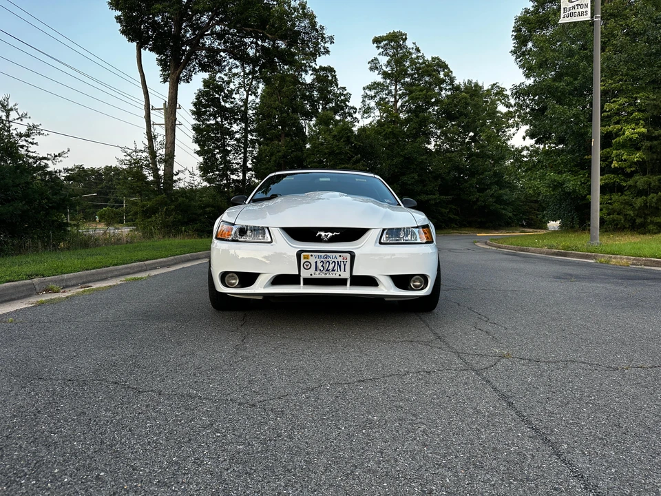 1999 Ford SN95 Mustang Cobra - Image 16 of 31