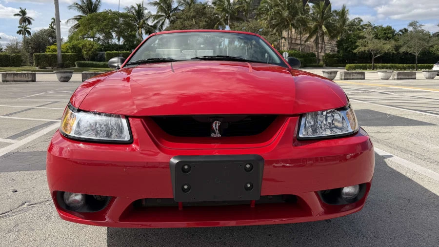 1999 Ford SN95 Mustang Cobra - Image 4 of 31