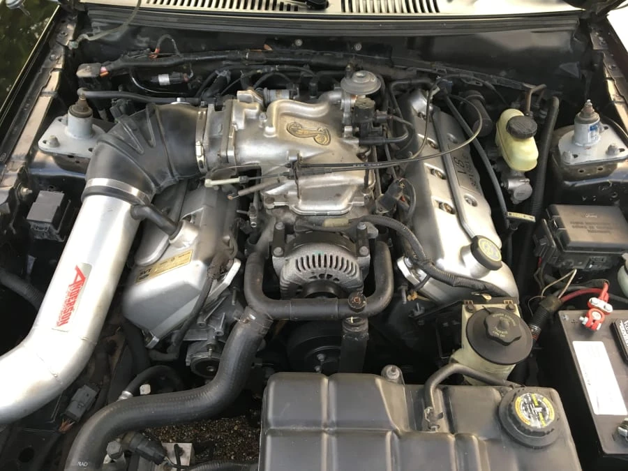 1999 Ford SN95 Mustang Cobra - Image 6 of 11