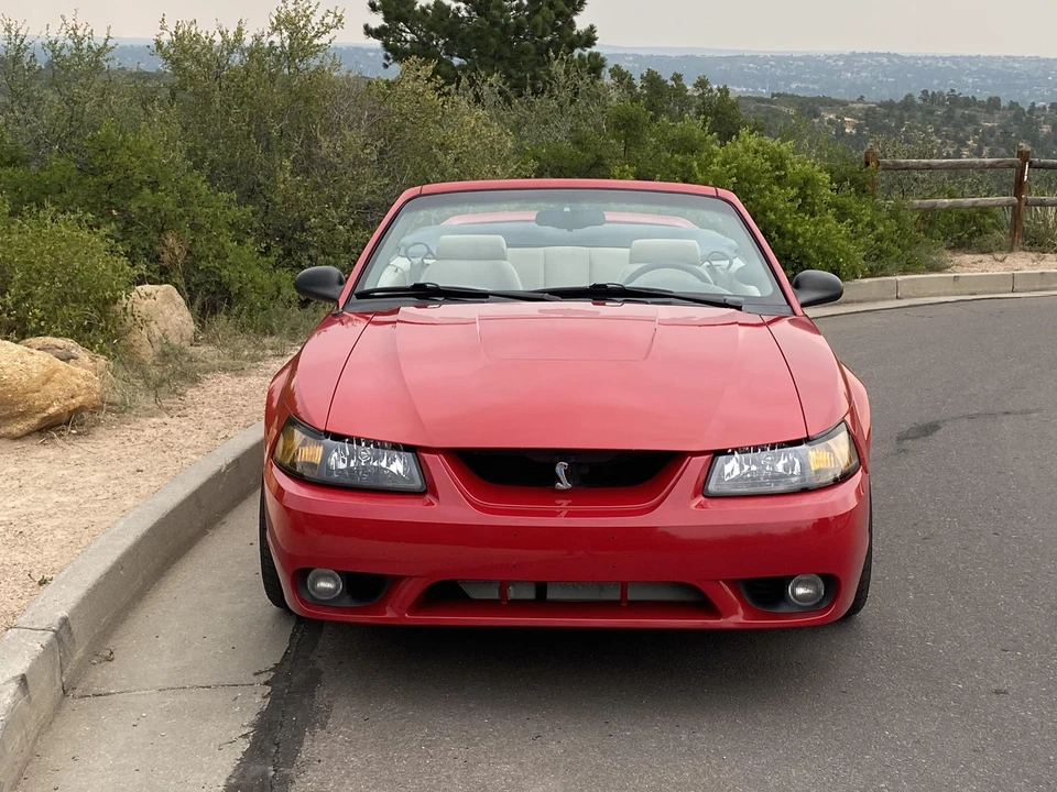 1999 Ford SN95 Mustang Cobra - Image 8 of 31