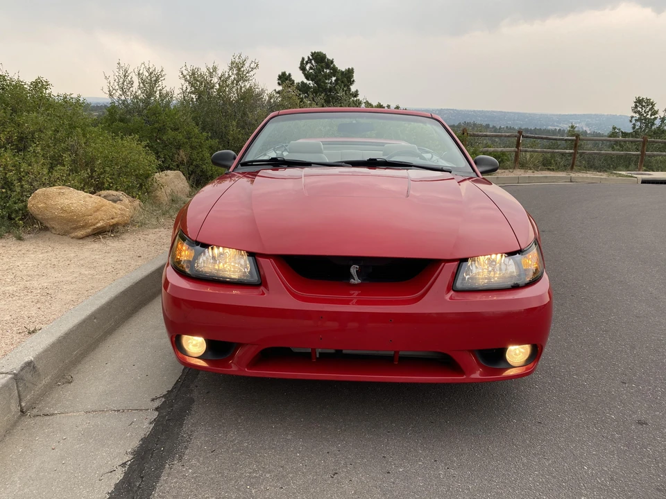 1999 Ford SN95 Mustang Cobra - Image 6 of 31