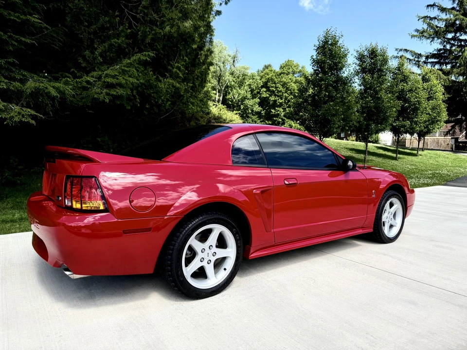 1999 Ford SN95 Mustang Cobra - Image 5 of 31