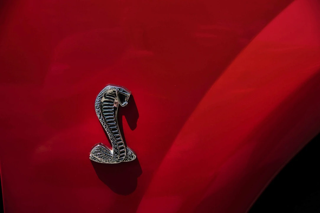 1999 Ford SN95 Mustang Cobra - Image 25 of 25