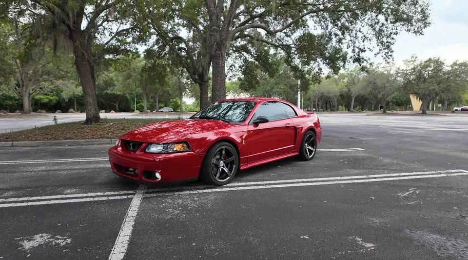 1999 Ford SN95 Mustang Cobra - Image 7 of 16