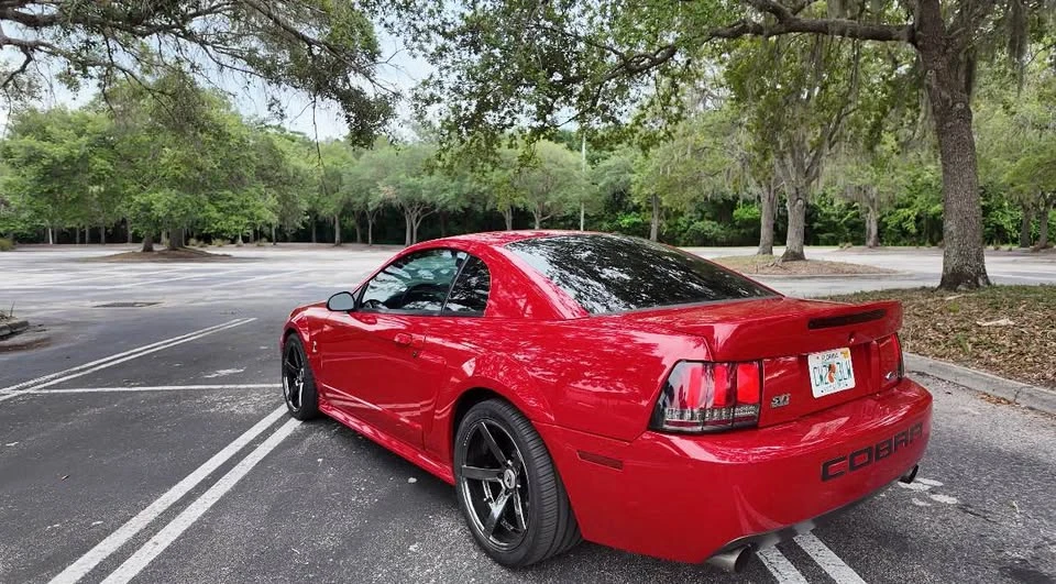 1999 Ford SN95 Mustang Cobra - Image 5 of 16