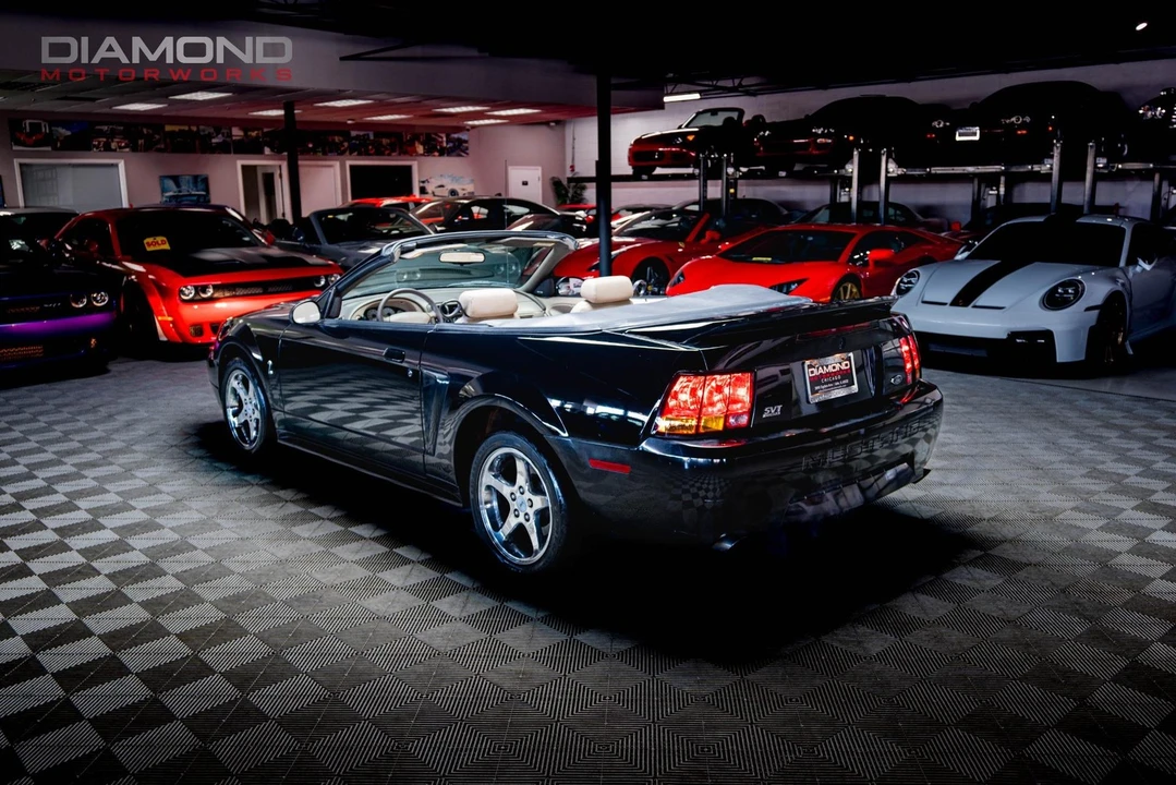 1999 Ford SN95 Mustang Cobra - Image 4 of 12