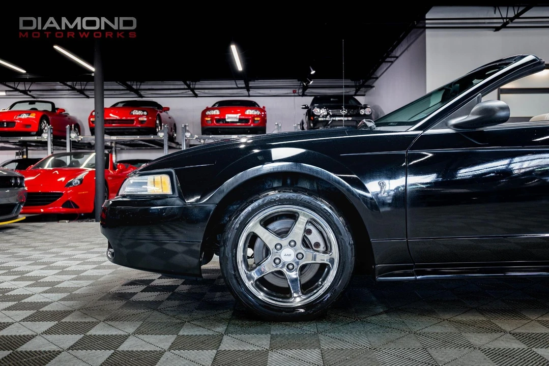 1999 Ford SN95 Mustang Cobra - Image 11 of 12