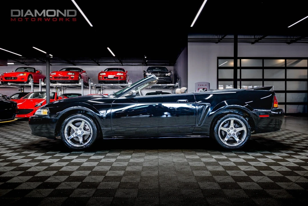 1999 Ford SN95 Mustang Cobra - Image 12 of 12