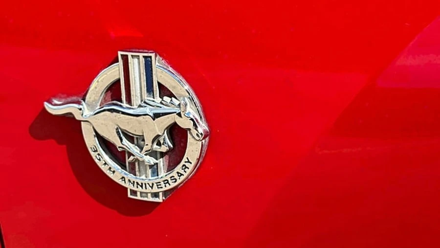 1999 Ford SN95 Mustang - Image 5 of 11