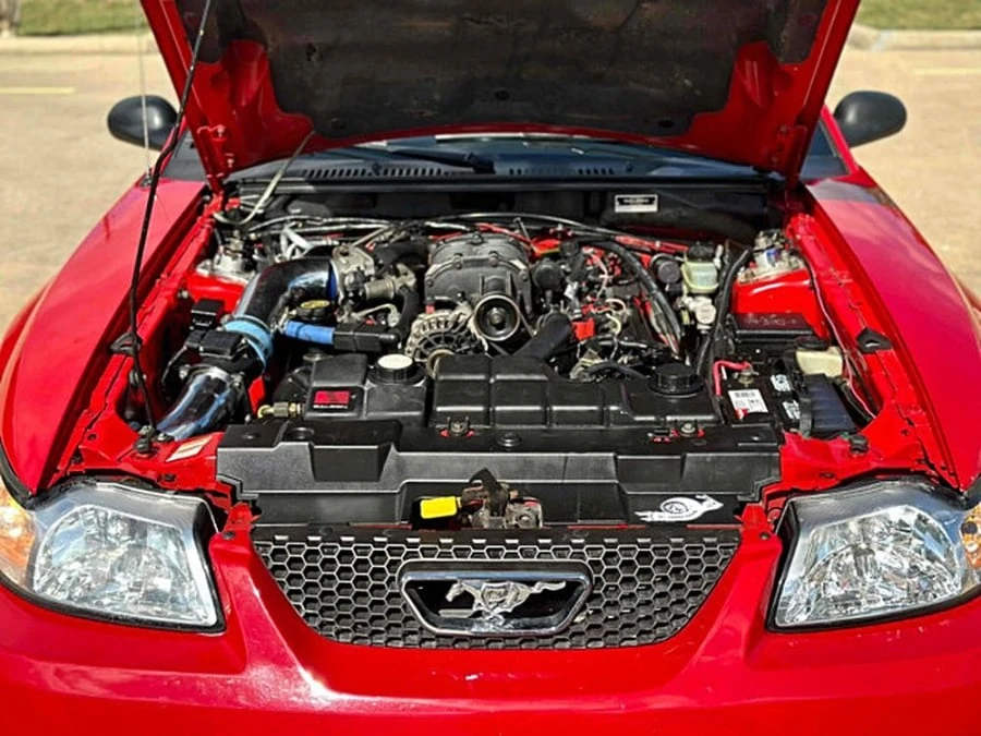 1999 Ford SN95 Mustang - Image 11 of 11