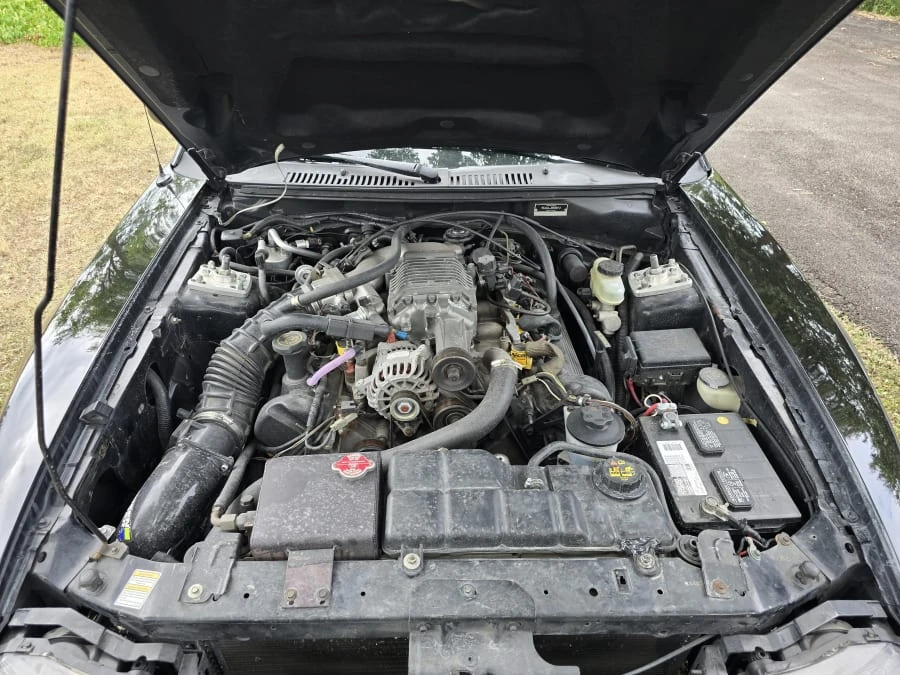 1999 Ford SN95 Mustang - Image 8 of 8