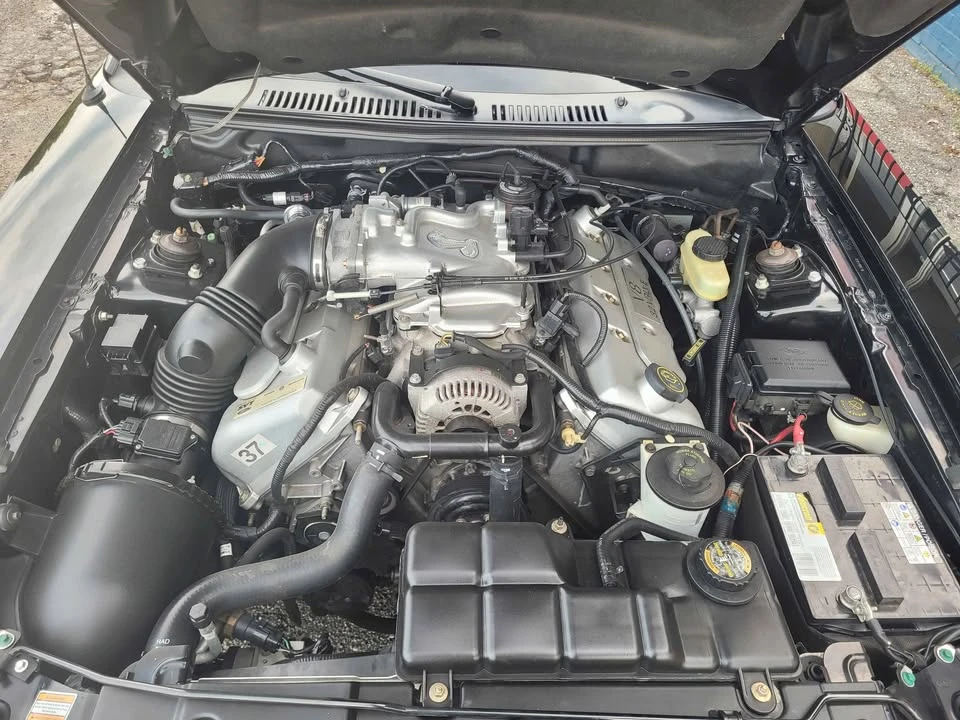 1999 Ford SN95 Mustang Cobra - Image 20 of 20