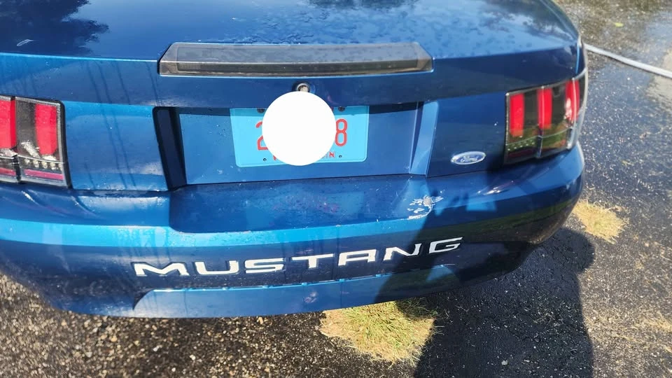 1999 Ford SN95 Mustang - Image 5 of 9