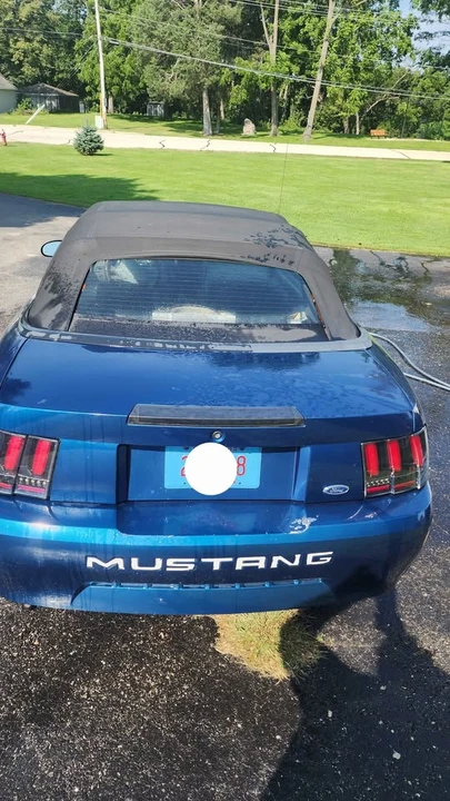 1999 Ford SN95 Mustang - Image 4 of 9