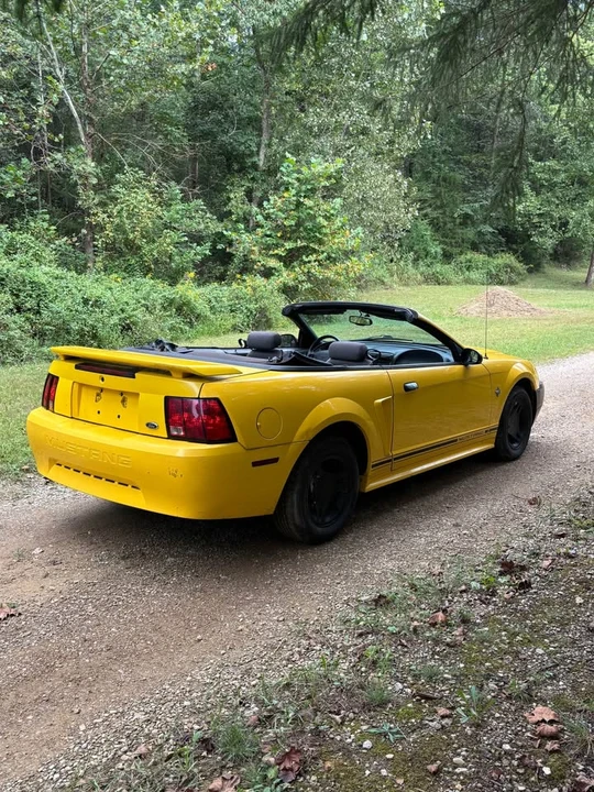 1999 Ford SN95 Mustang - Image 2 of 5