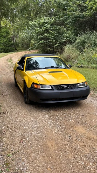 1999 Ford SN95 Mustang - Image 5 of 5