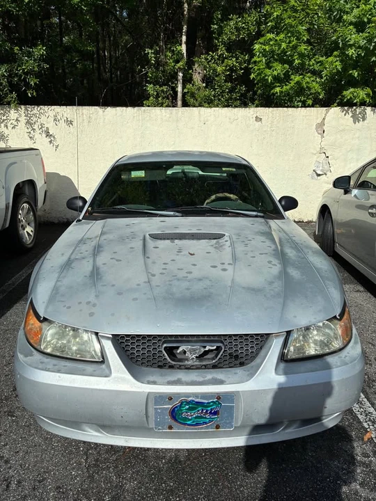 1999 Ford SN95 Mustang - Image 8 of 10