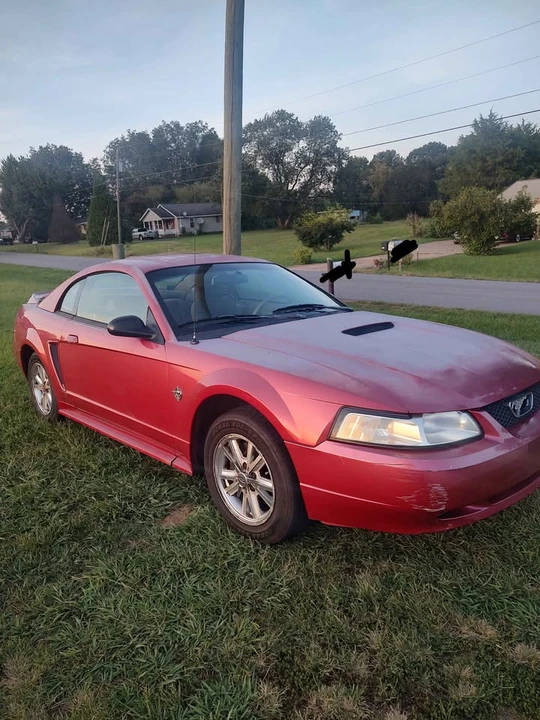 1999 Ford SN95 Mustang - Image 3 of 10