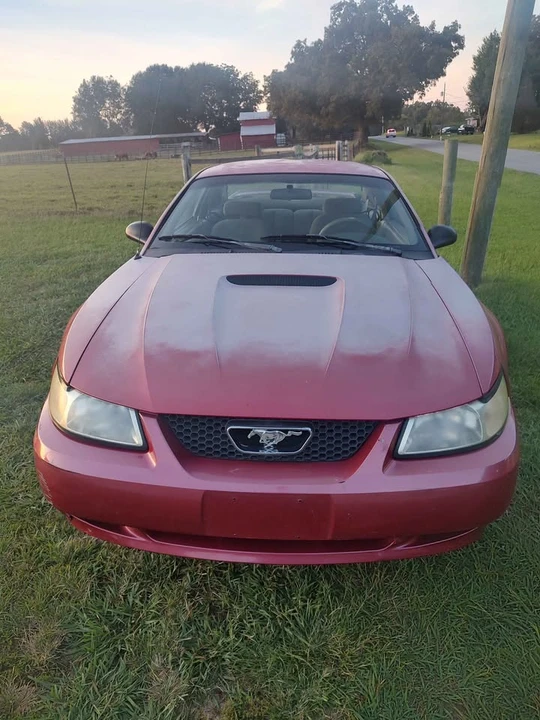 1999 Ford SN95 Mustang - Image 2 of 10