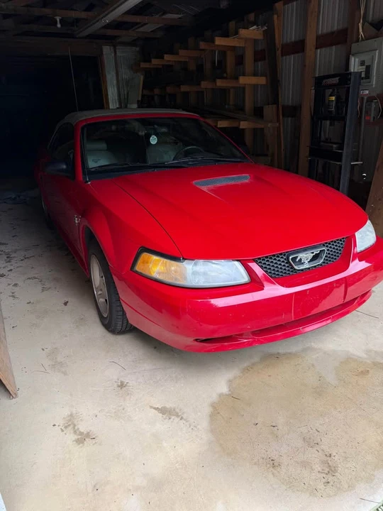 1999 Ford SN95 Mustang - Image 2 of 12