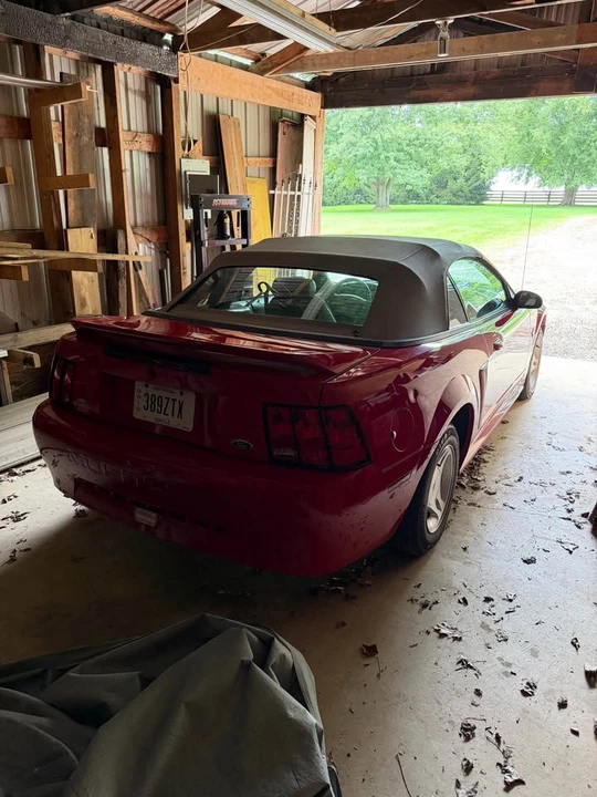 1999 Ford SN95 Mustang - Image 5 of 12