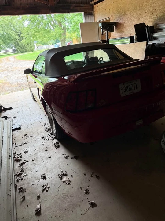 1999 Ford SN95 Mustang - Image 6 of 12