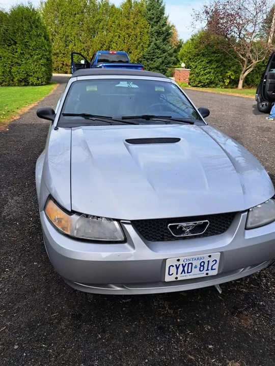 1999 Ford SN95 Mustang - Image 4 of 7