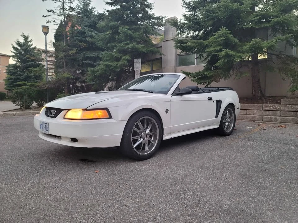 1999 Ford SN95 Mustang - Image 5 of 9