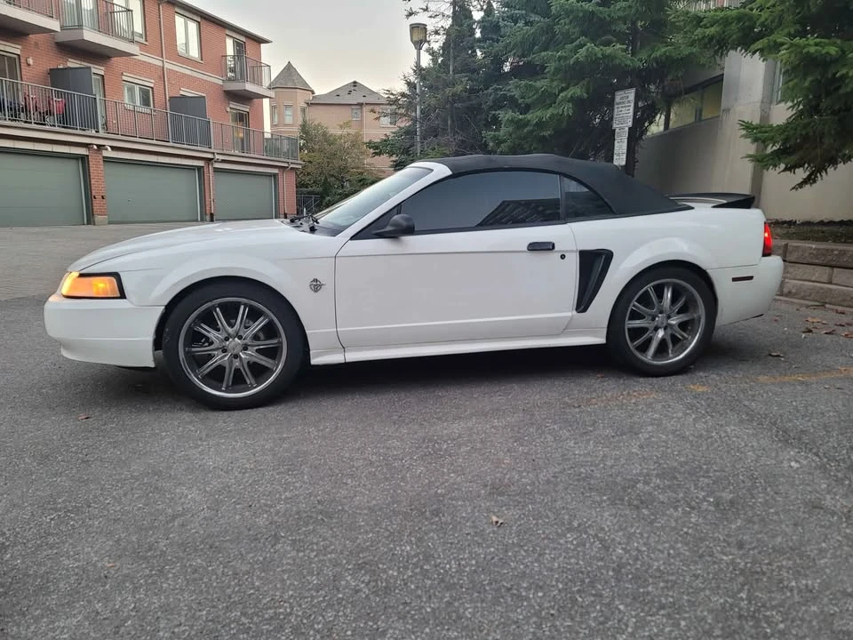 1999 Ford SN95 Mustang - Image 9 of 9